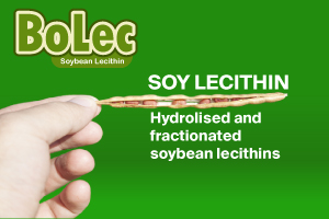 natural lecithin based on soybean oil